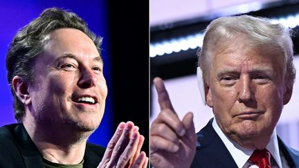 Le patron de X et Tesla, Elon Musk (gauche), et le candidat républicain à la présidentielle américaine, Donald Trump (droite). (FREDERIC J. BROWN,BRENDAN SMIALOWSKI / AFP)