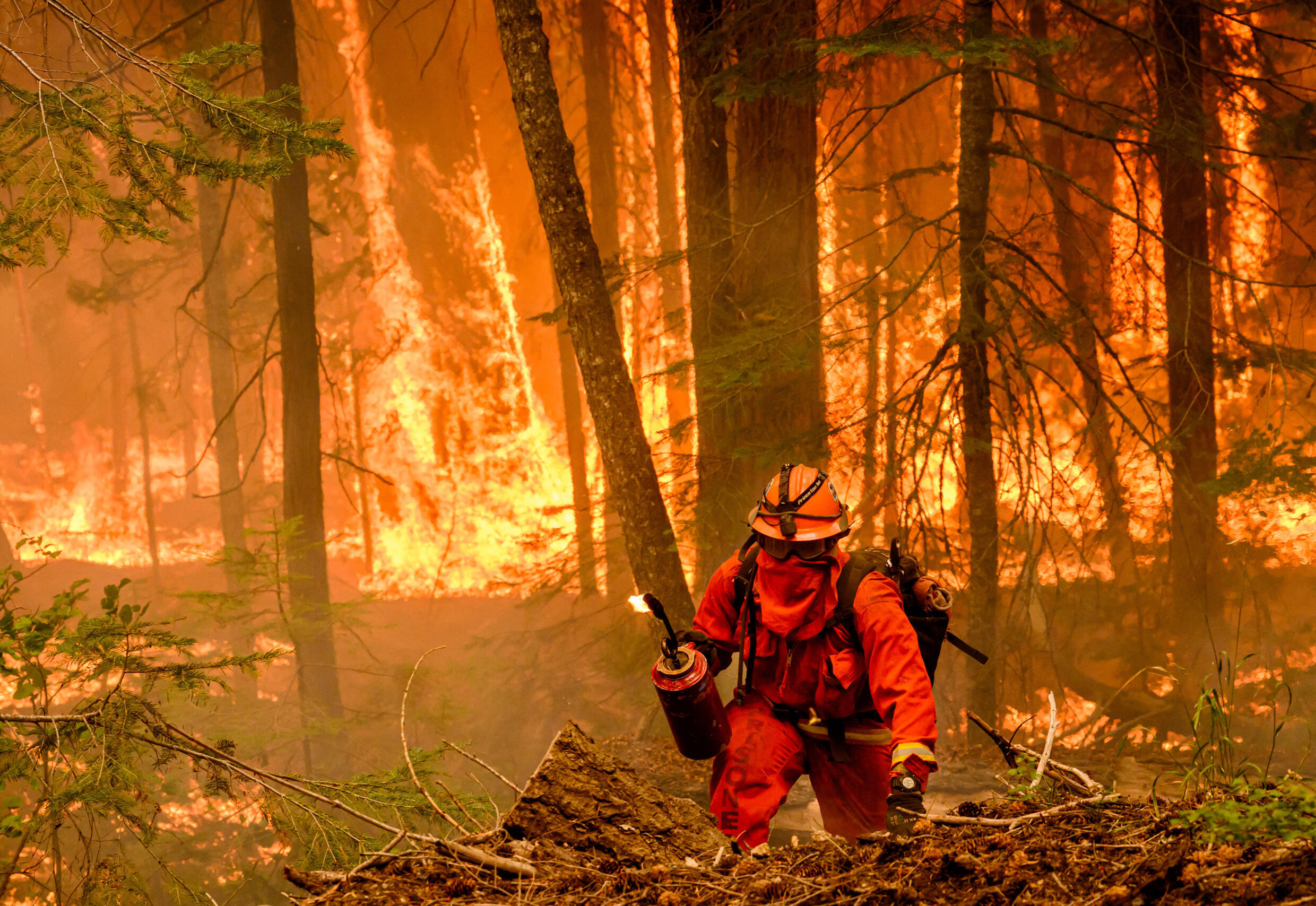 Un pompier allume un contre-feu pendant le mégafeu Park Fire, en Californie, le 7 août 2024, devenu le septième incendie le plus important de l'histoire de l'État.