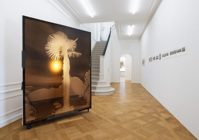 « Negative Palm VI » (2024), de Gabriel Moraes Aquino, à la Fondation Bally, à Lugano (Suisse).