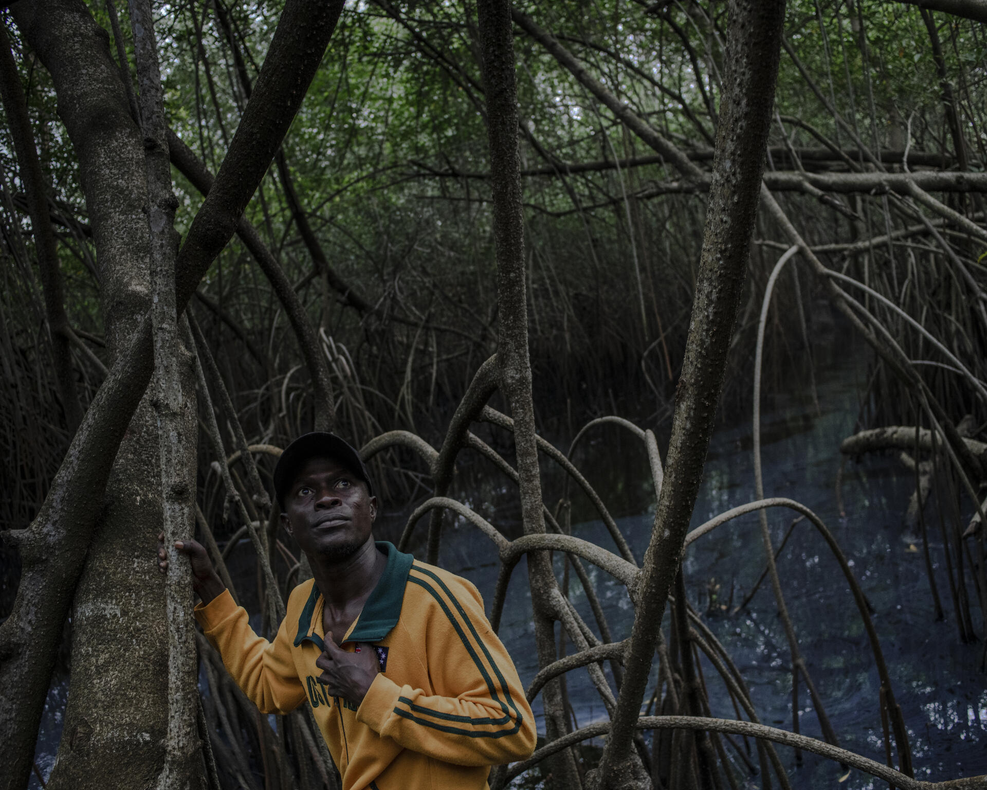 Gérard Djikpesse, guide pour les touristes et dignitaire vaudoun, sur les palétuviers rouges (Rhizophora), dans la forêt protégée et partiellement sacrée de Tobgin. A Abomey-Calavi (Bénin), le 17 juin 2024.