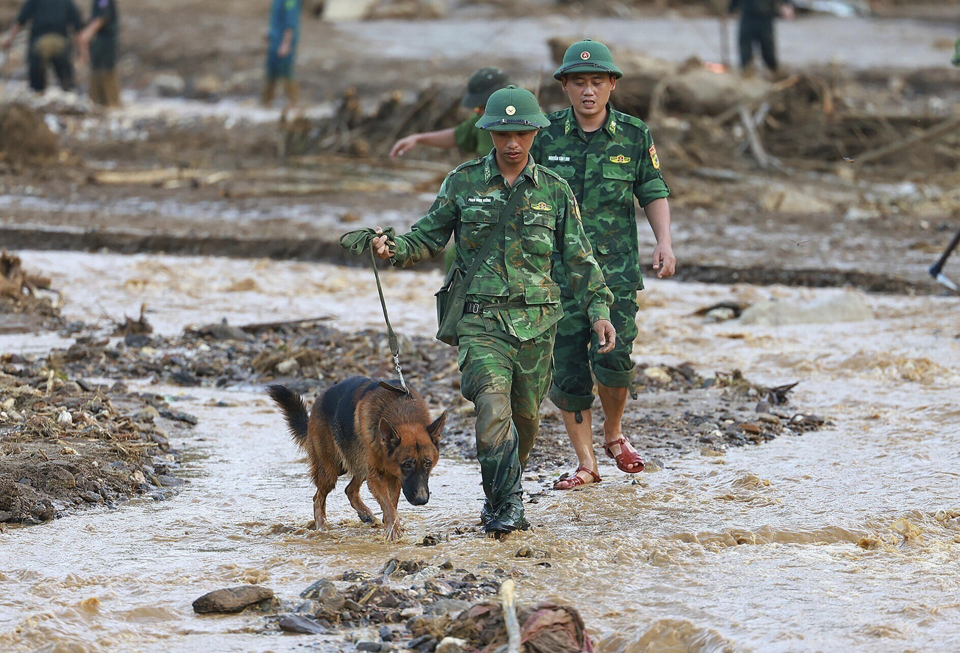 Des secouristes et un chien renifleur recherchent les disparus après qu’une crue a enseveli un hameau sous la boue et les débris, dans la province de Lao Cai (Vietnam), le jeudi 12 septembre 2024.