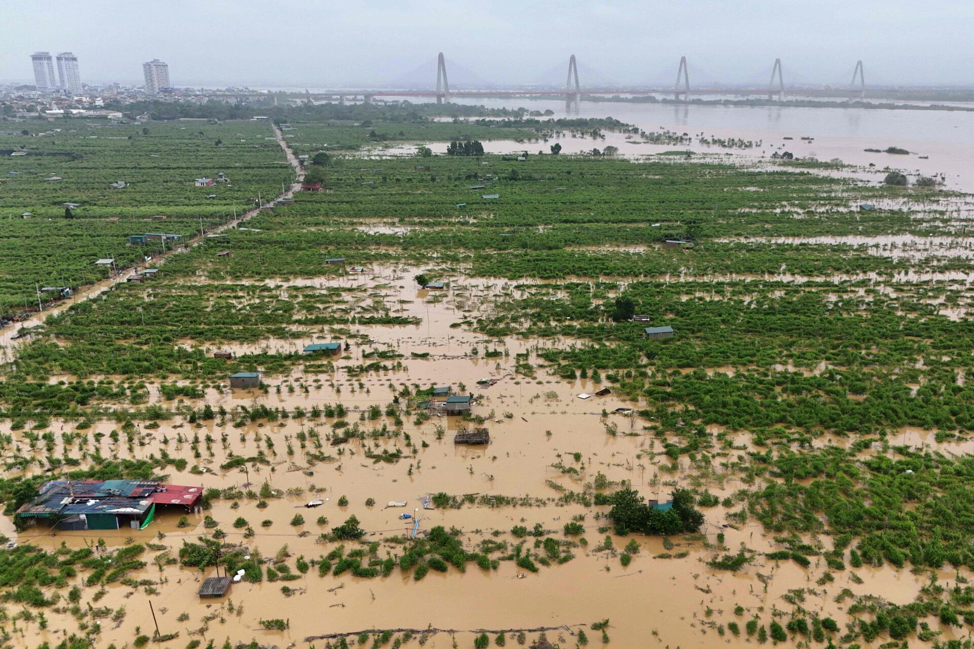 Des fermes et des champs inondés à Hanoï (Vietnam), le 12 septembre 2024. 